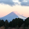 今朝の景色