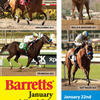 【2013 Barretts January Mixed Sale】が終了!