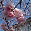 3月7日、通常ポンコツと村社会