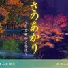 さのあかり～彩る水面と参道～ 佐野市2023年11月17日～19日。