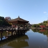 奈良公園の紅葉②