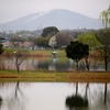 加古大池（兵庫県加古）