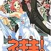 「魔法先生ネギま!」２９巻