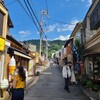 銀閣寺って何か良い…☺️(銀閣寺～平安神宮編)