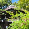 【京都】【御朱印】『梨木神社』「萩まつり」に行ってきました。 京都観光  そうだ京都行こう 女子旅  