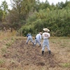 11月９日の活動報告～西畑の整備・堆肥塚～