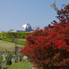 オープンガーデン「能登町柳田植物公園」