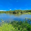 円沼（北海道森）