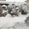 何のために走るのか？