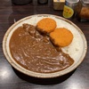 【閲覧注意！！】ココ壱の、10辛を超えた15辛のカレールーが衝撃的に辛かった