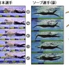 速く泳ぐのは○○で変わる‼️‼️