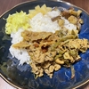 ３種の副菜で味変！スリランカ風【ポークカレープレート】