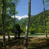 高山性の春の山野草