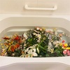 ロウの花の入浴シーン＆梅仕事、レシピはジェノベーゼ