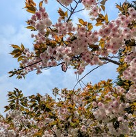 オロロンラインを札幌方面へ