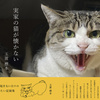 エッセイ・日記「実家の猫が懐かない」のご案内。