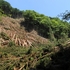 スギ林・ヒノキ林は、山地にある「畑」