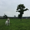 アド兄さん