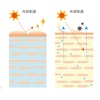 【肌バリア機能①】内からも外からもうるおいを守る