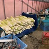 ブログのお金が入ってきました