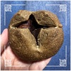 🚩外食日記(1874)    宮崎ランチ  「Bread & Butter（ブレッドアンドバター）」⑤より、【コーヒーと栗☕️🌰】‼️🌐宮崎市東大宮🌐
