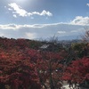 【今年の漢字は？】清水寺に紅葉を見に行ってきました