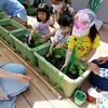 ご参加ありがとうございました＊「テラスに夏野菜を植えよう」