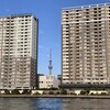 隅田川テラス8キロ：ここまでの距離ならなんとか