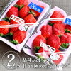 いちご ミルキーベリー 栃木県真岡市 どこで売ってる？