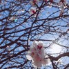 暖かかったり、寒かったり。晴れてたり、雨だったり。