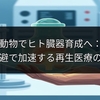 動物でヒト臓器育成へ：免疫回避で加速する再生医療の最前線