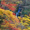 久しぶりの抱返り渓谷（2022年11月1日）