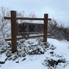 復活しました
