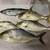 伊王島での楽しい釣りを守るために！釣り場マナーと気持ちよく過ごす方法