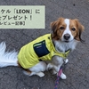 １歳のコイケル「LEON」に防寒着をプレゼント！【評価レビュー記事】