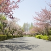 【日記】2015年3月17日(火)「春は間近」