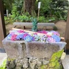 【季節の花を見に行こう】二本松寺　あじさいの杜　あじさいは見頃です