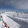 福岡から北海道（札幌、小樽）へ３泊４日観光旅行のモデルコース！雪まつりや蟹料理など最高！