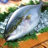 鰤／今日の俳句　≪第2324号≫