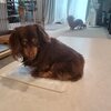 そらちゃん(>_<)