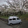 桜の咲きかかった足立山妙見宮の桜神苑の近くに