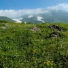 鳥海山ー残雪と花の季節ー