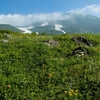 鳥海山ー残雪と花の季節ー