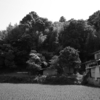 【出雲國】嶋根郡・門江神社。