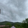 至仏山は高山植物の宝庫でした