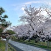 北の山