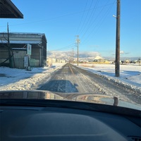 ようやく雪騒動も終了