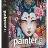 Painterが、おかしくなる。