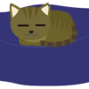 猫と遊べるものを見つけた