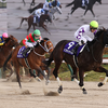 日曜競馬　展望